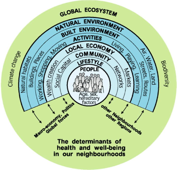 Figure 3 - Determinants of health and wellbeing (Barton and Grant, 2010)